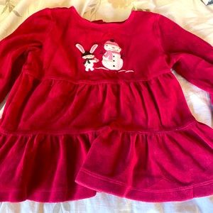 Gymboree velvet top.